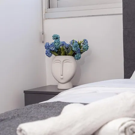 Appartments In The Historic Center Near *