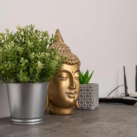 Appartments In The Historic Center Near 아파트